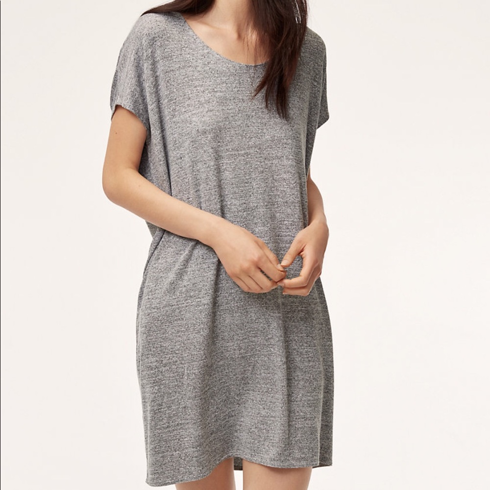 Aritzia Wilfred Free Lorelei Dress